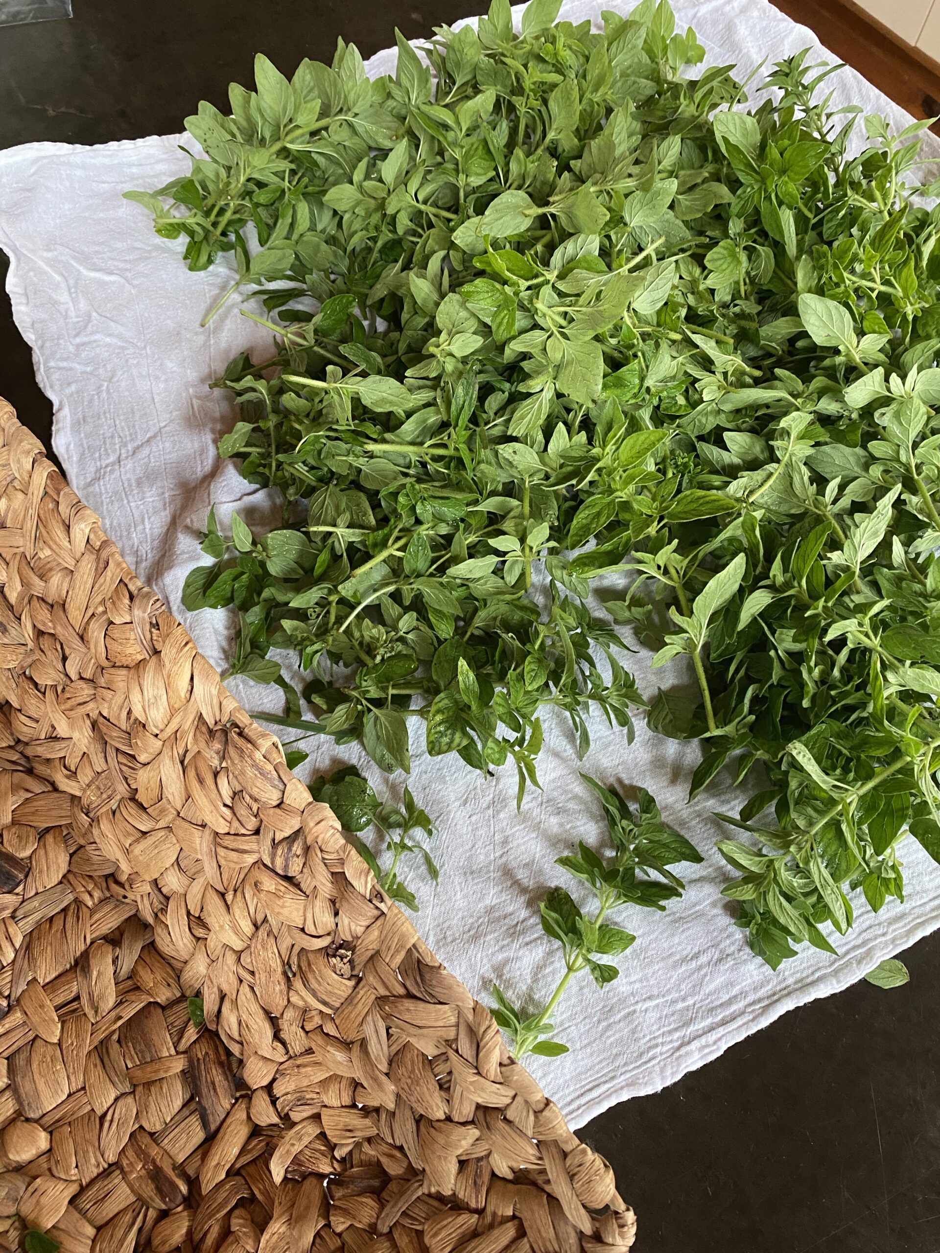 How to make an oregano tincture with fresh herbs CREATIVE CAIN CABIN