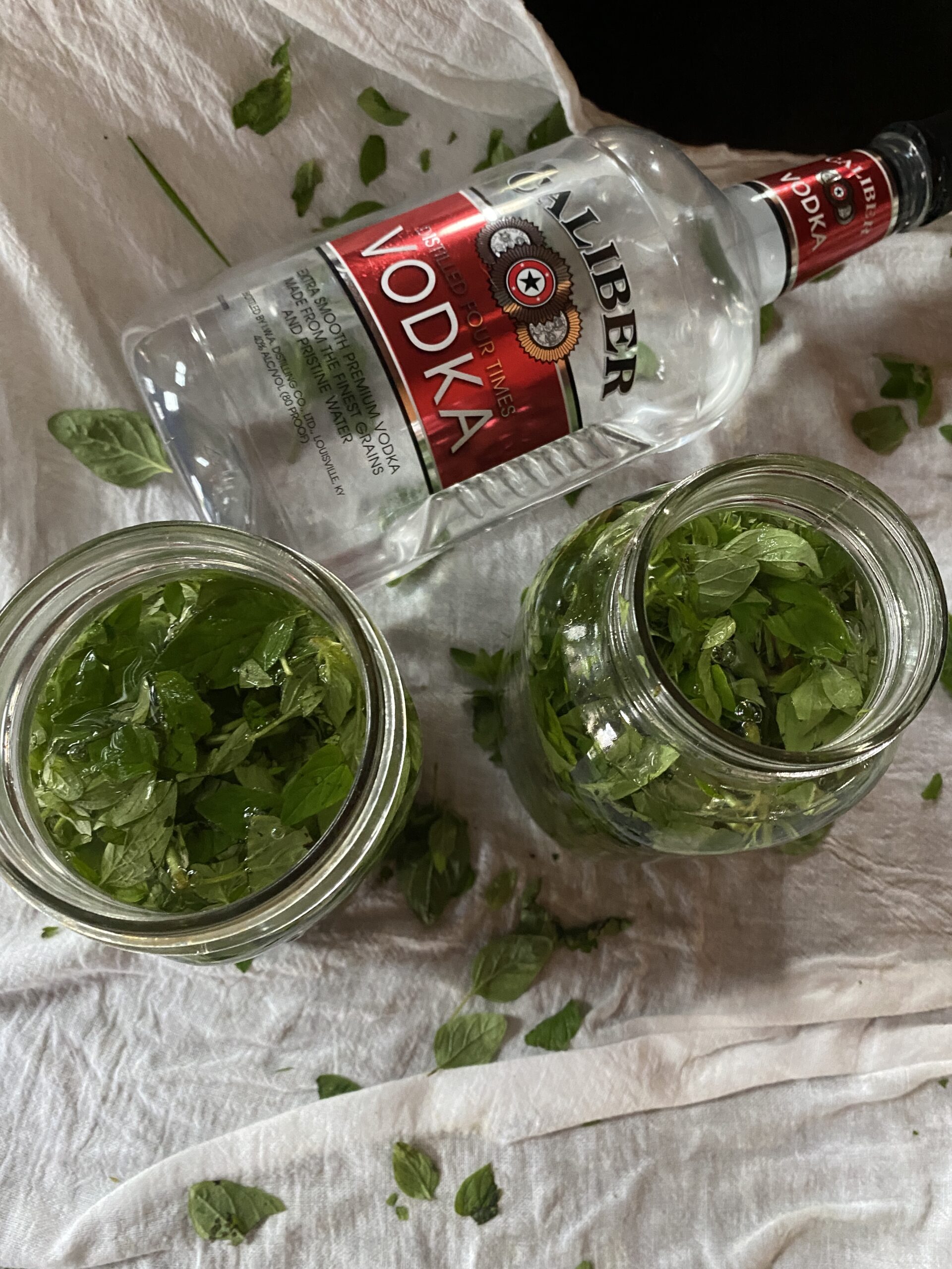 How to make an oregano tincture with fresh herbs CREATIVE CAIN CABIN