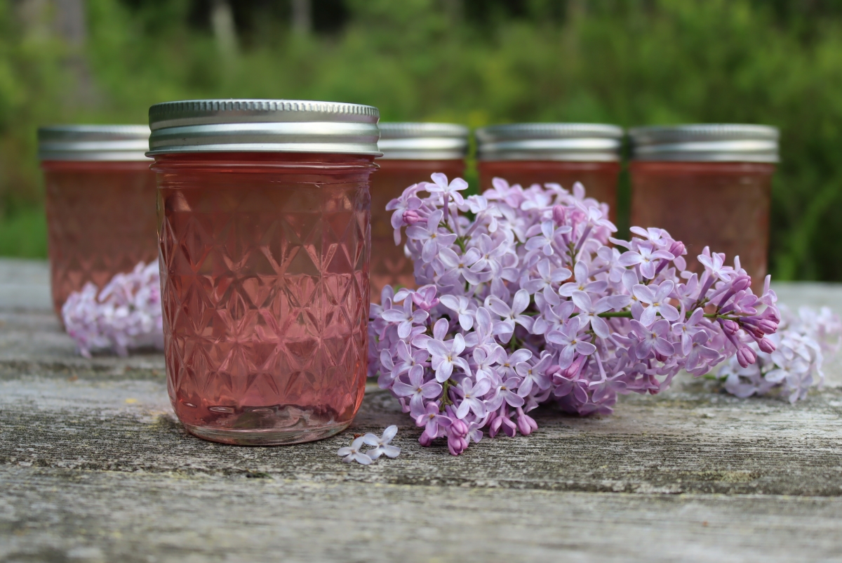How to Make Flower Jelly (with 20+ Recipes!)