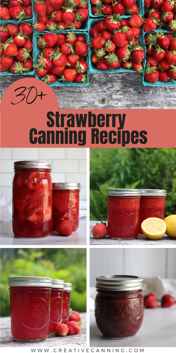 30+ Strawberry Canning Recipes Creative Canning