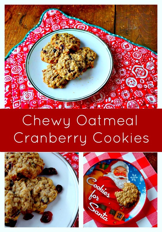 Chewy Oatmeal Cranberry Cookie Recipe Creative Cynchronicity
