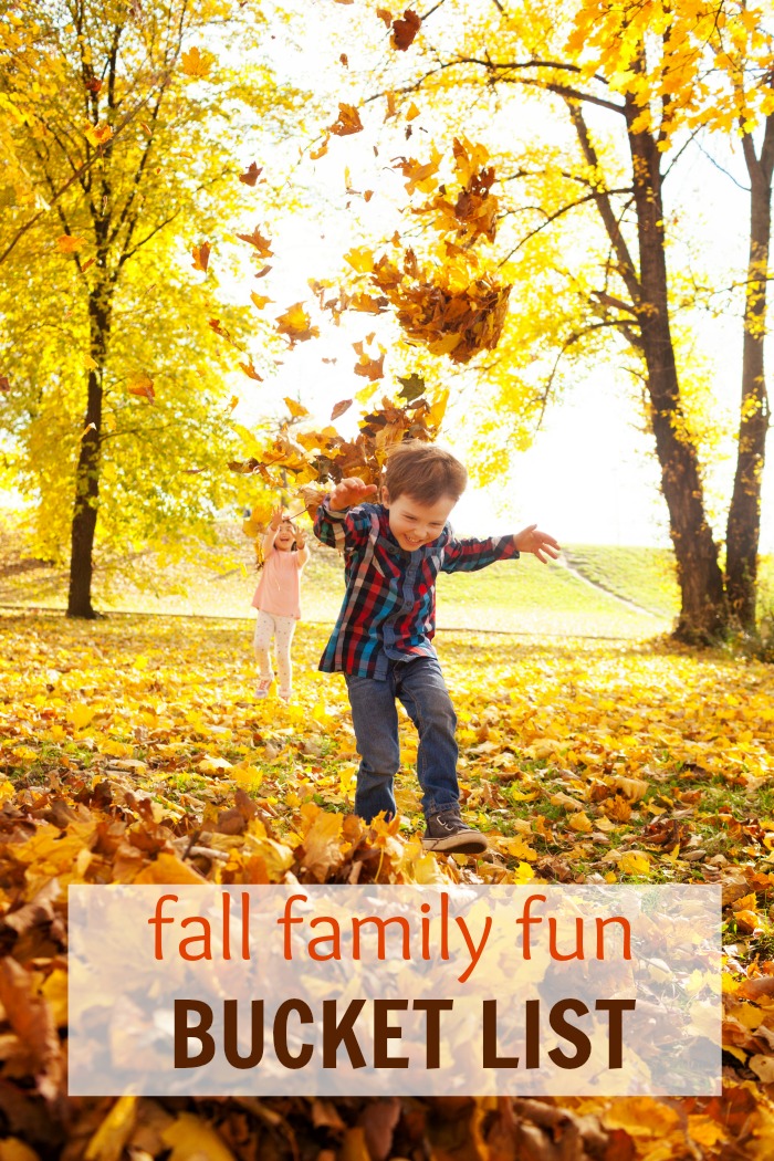 Family Fun Fall Bucket List Creative Cynchronicity