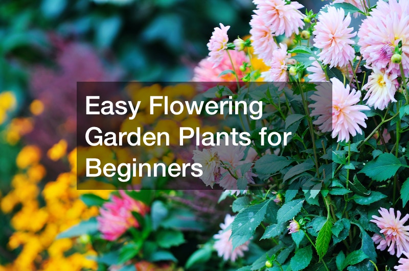 Easy Flowering Garden Plants for Beginners Creative Decorating Ideas