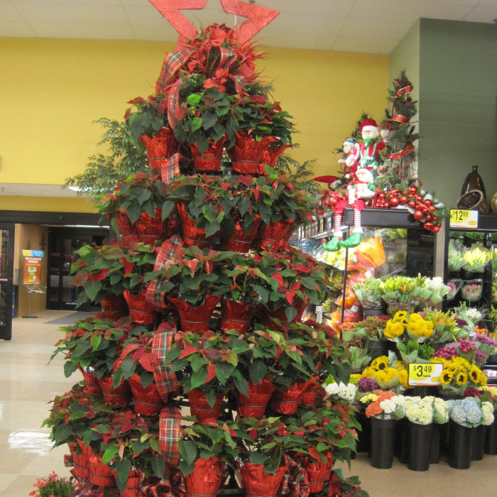 Creative Display Center Potted Plant Tree Racks Silk Poinsettias