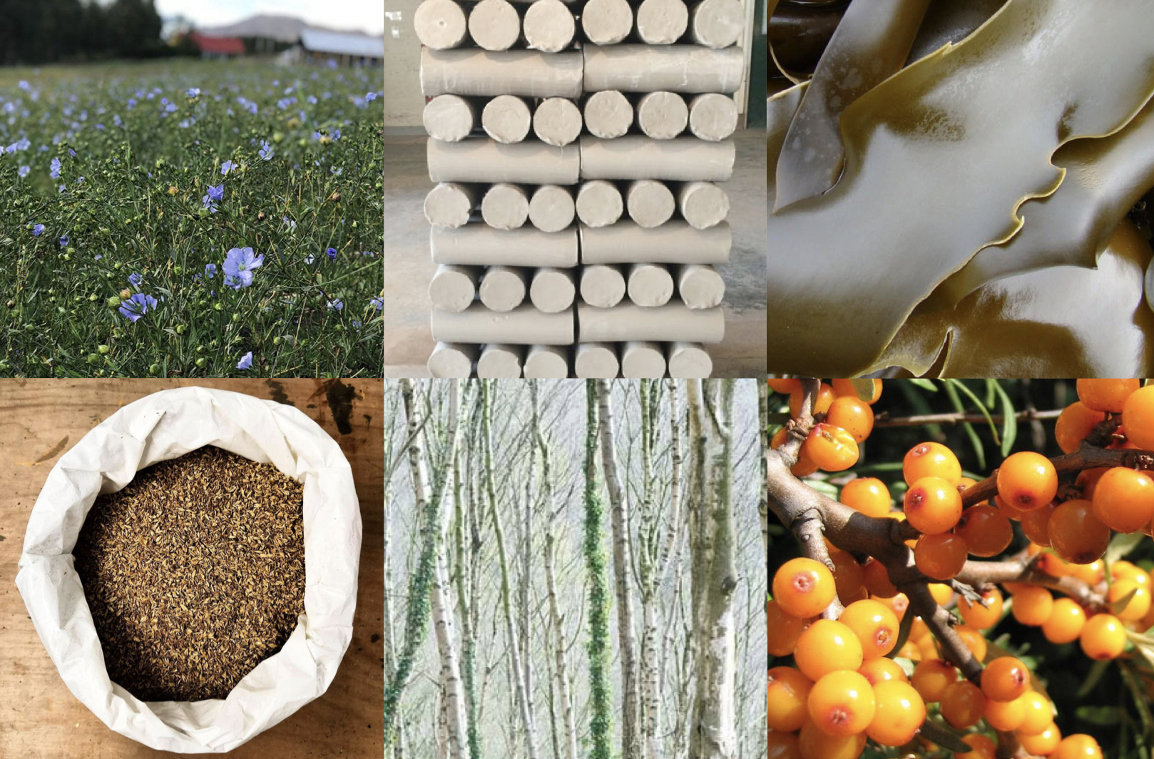 International Creative Economy Creative Dundee Amplifying and