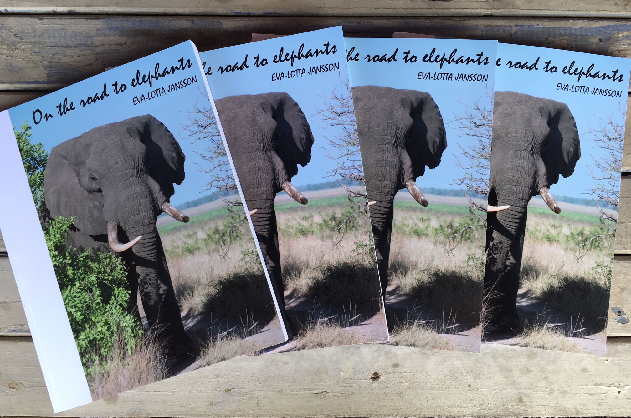 Buy ‘On the road to elephants’ Creative Experiences (SA)