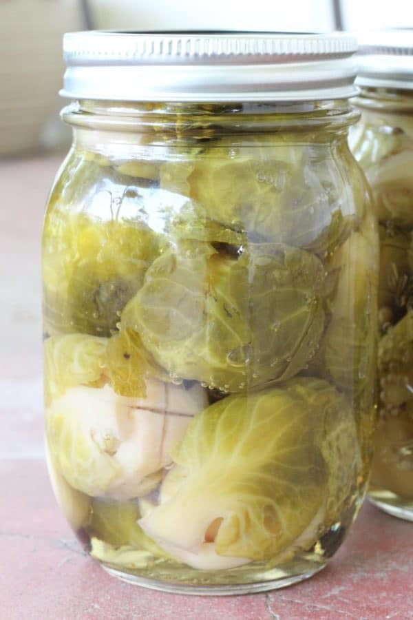 10 Easy Pickling Recipes for Canning Creative Homemaking