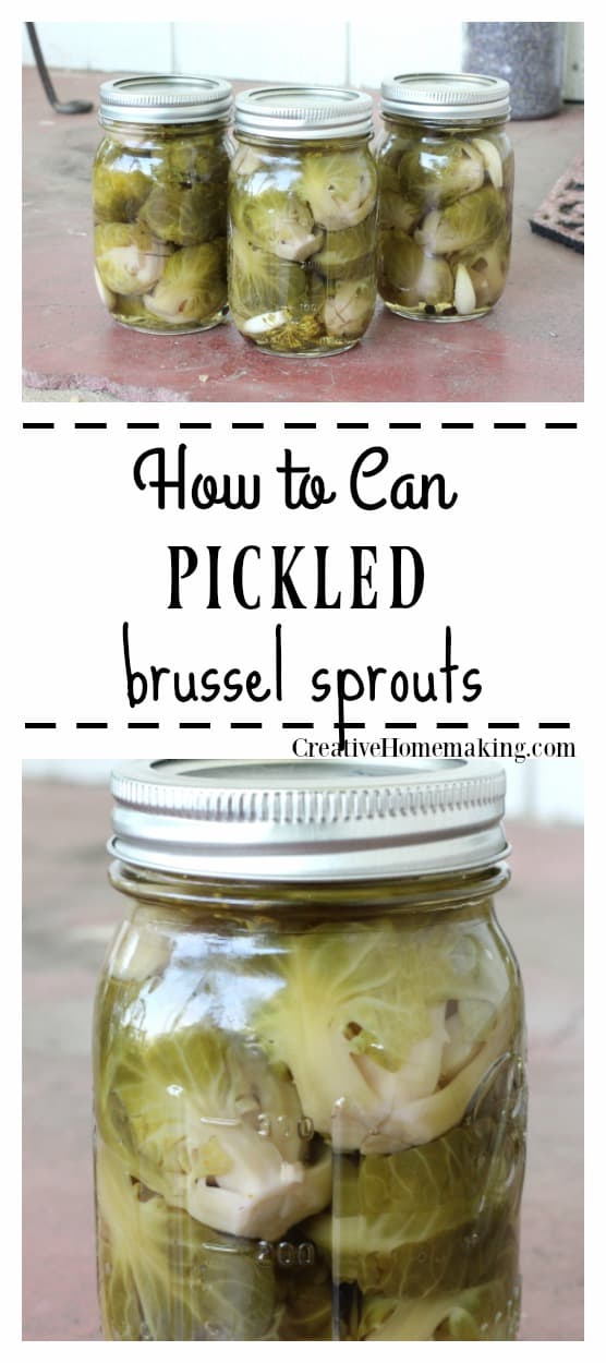 Pickled Brussel Sprouts Creative Homemaking
