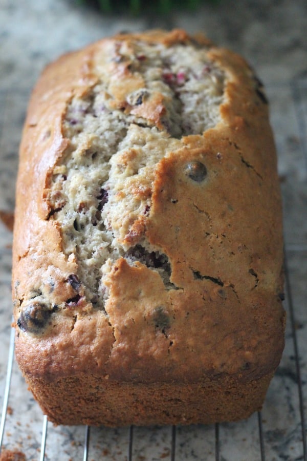 Delicious Cranberry Nut Bread Recipe A Perfect Blend of Sweet and