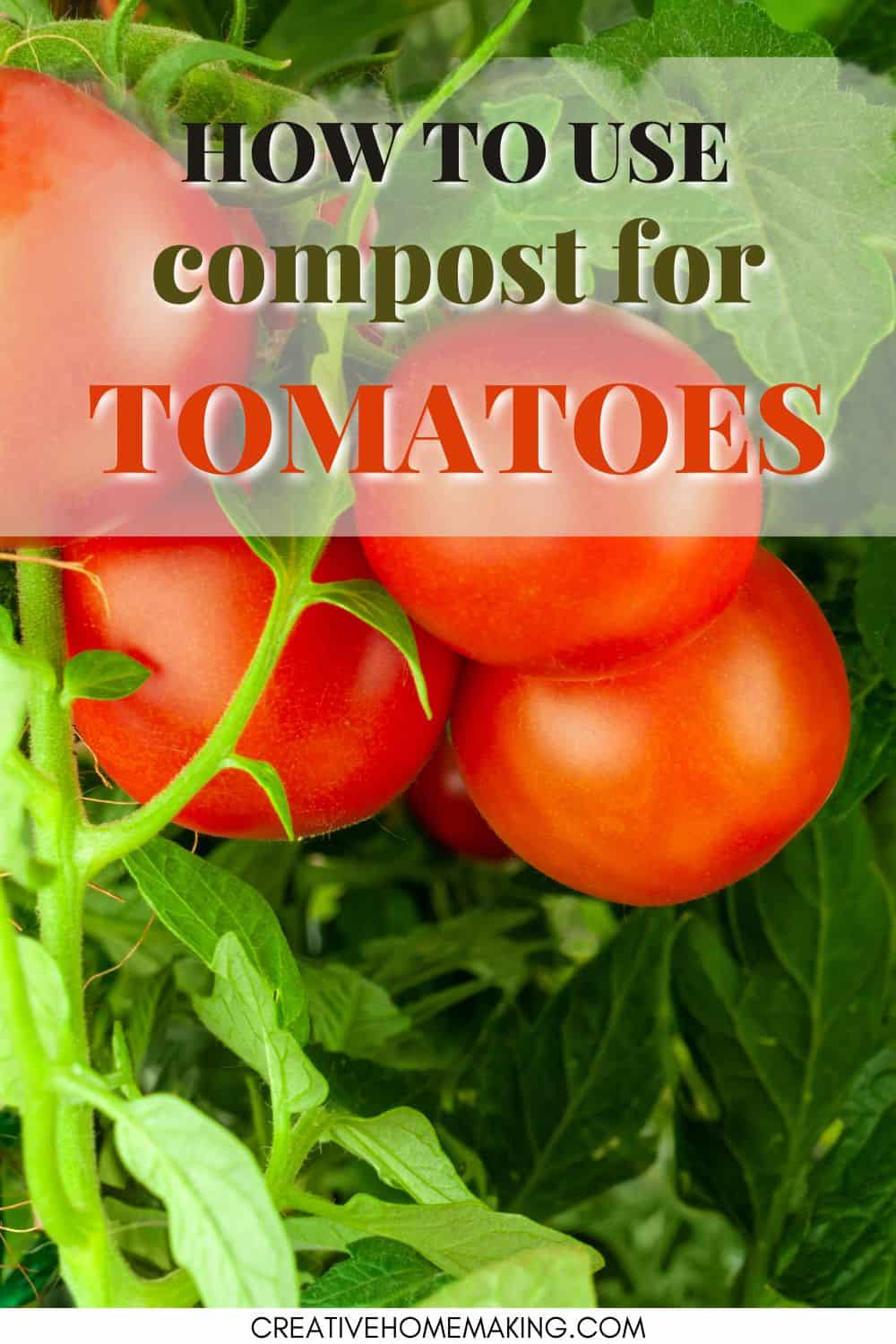 The Best Compost for Tomatoes Creative Homemaking