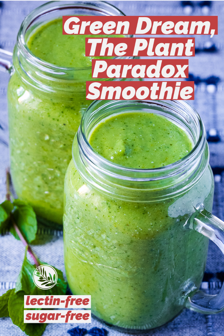 Green Dream, Dr. Gundry's Plant Paradox Smoothie (Keto) Creative in