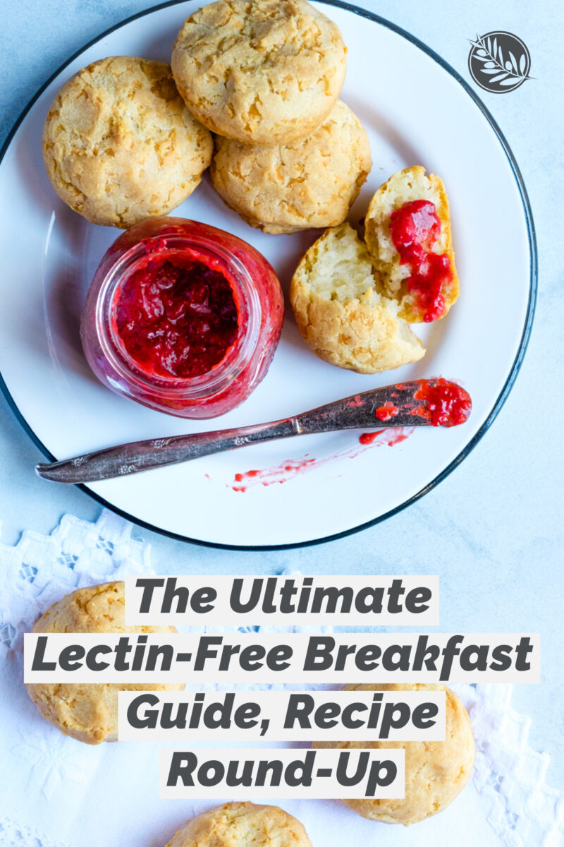 The Ultimate LectinFree Breakfast Guide, Recipe RoundUp Creative in