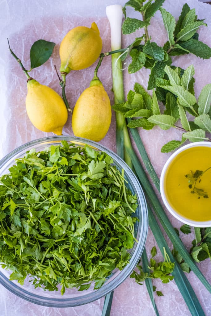 Mint Gremolata Sauce Recipe Creative in My Kitchen