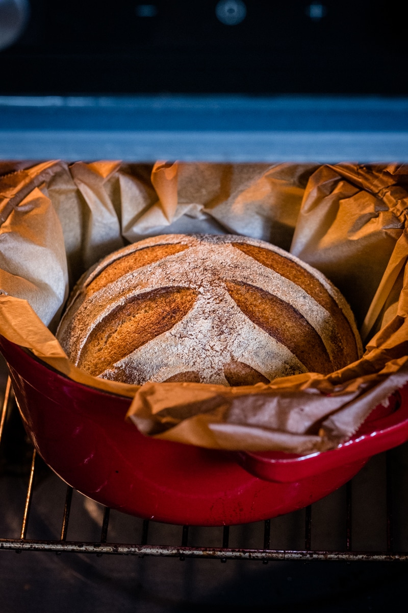 GlutenFree Sourdough Bread Recipe With and Millet (LectinFree