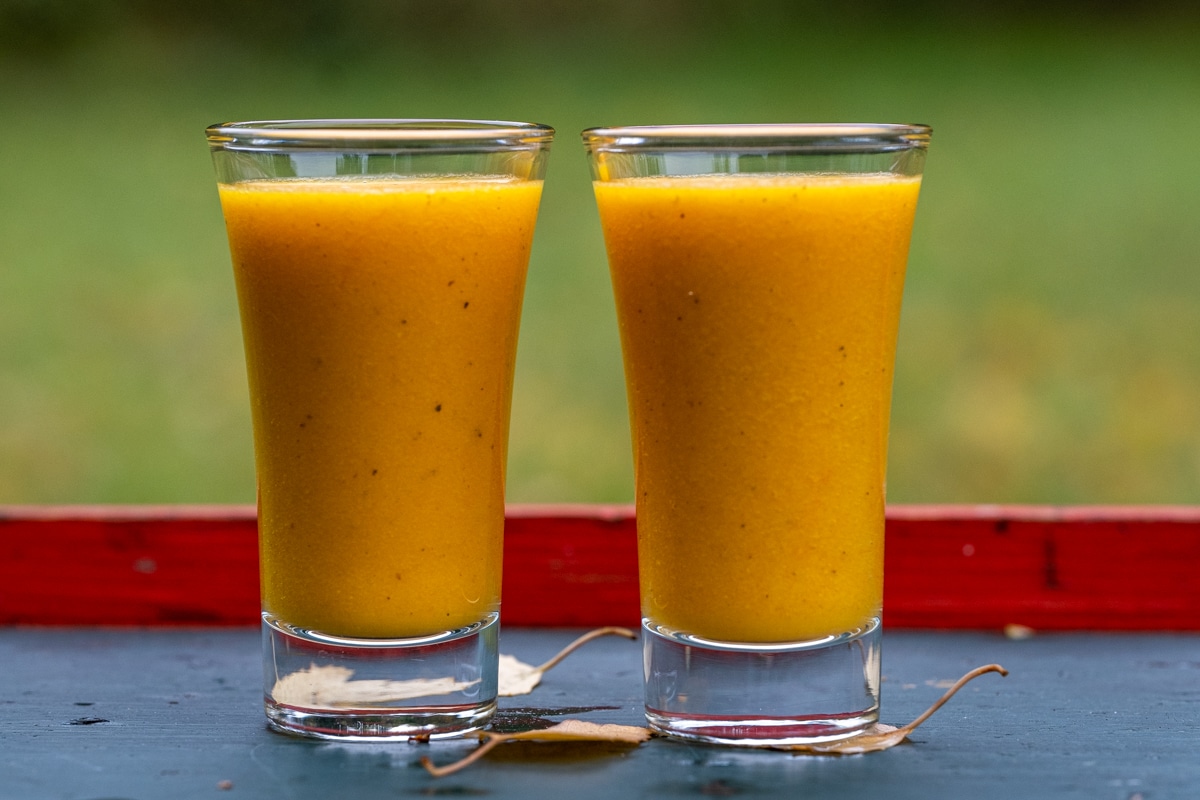 Ginger Turmeric Shots, an Immunity Booster (Made in a Blender