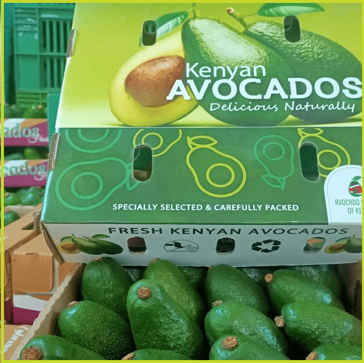 Packaging Design Services in Kenya Creative Kigen