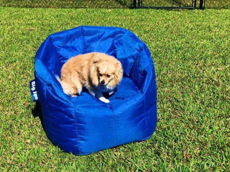 How to Refill a Bean Bag Chair with Fairfield World