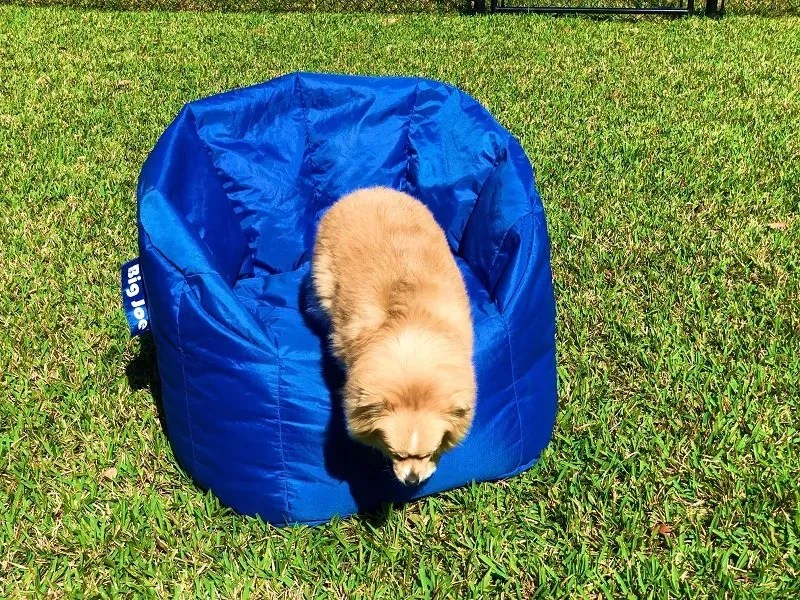 How to Refill a Bean Bag Chair with Fairfield World