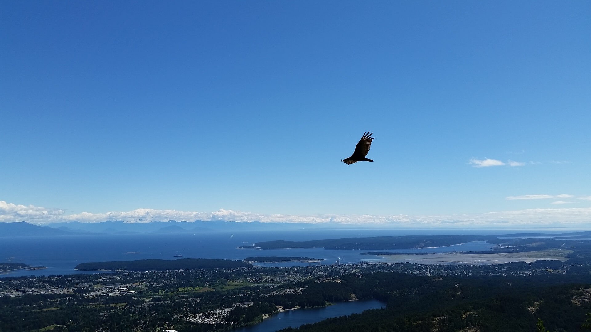 The Nanaimo Area Land Trust is Calling all Interested Wetlands Stewards! Creatively United