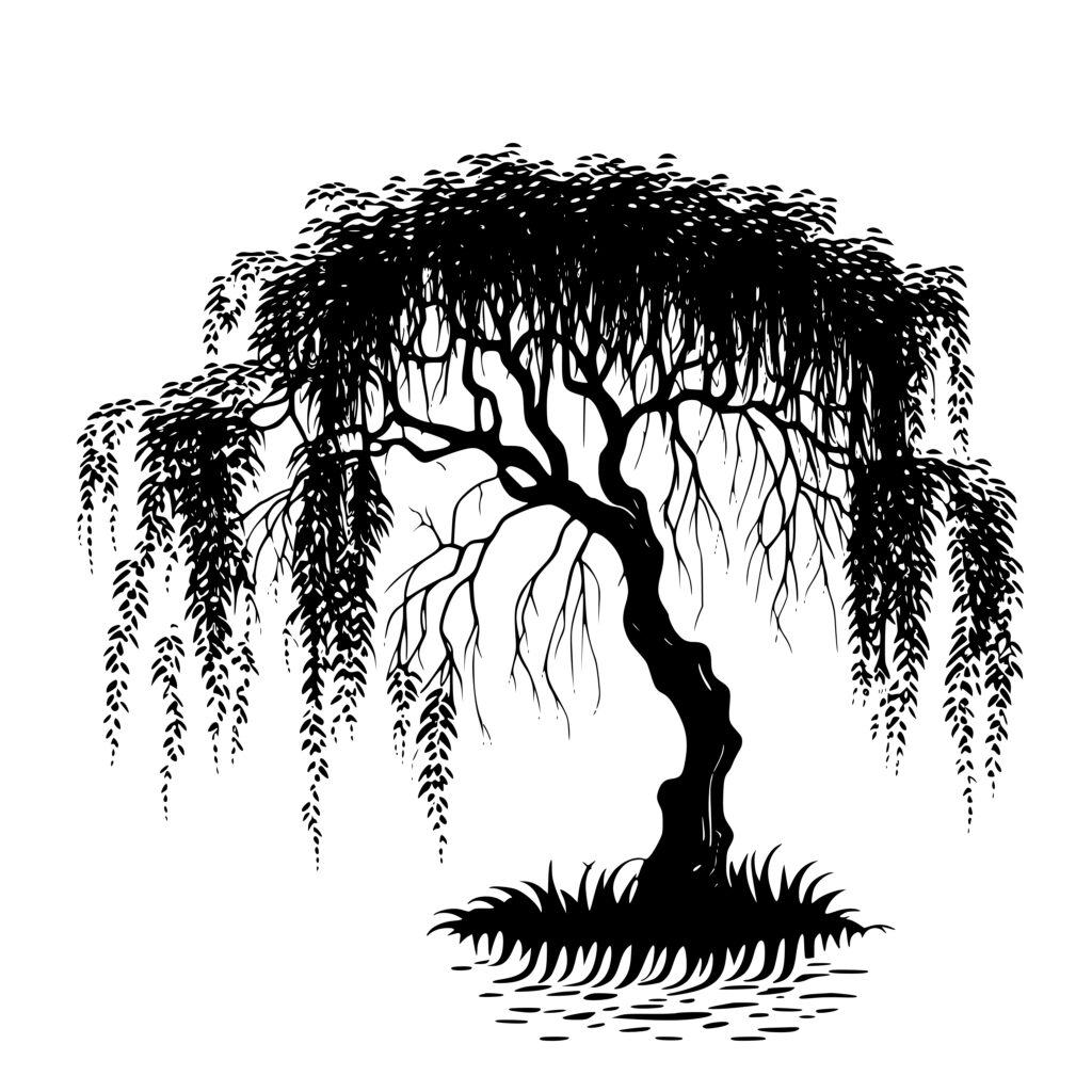 Willow Tree SVG File Instant Download for Cricut, Silhouette, Laser