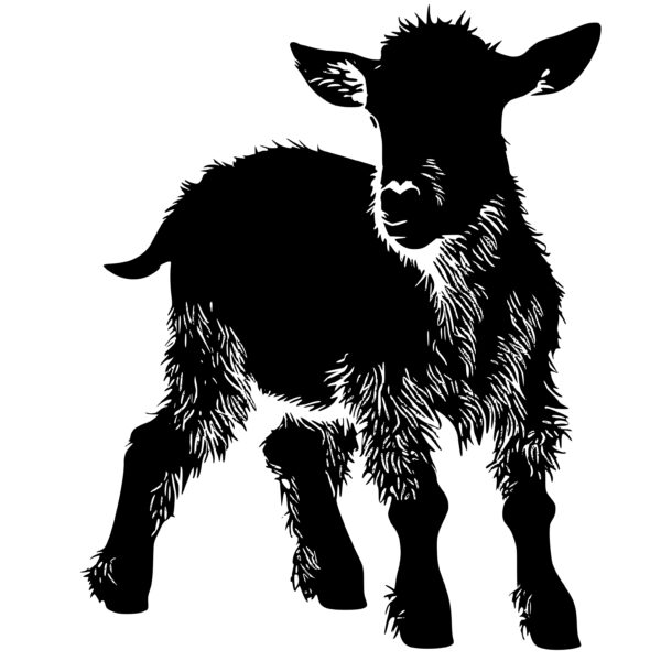 Adorable Baby Goat SVG Perfect for Cricut, Silhouette, Laser Machines