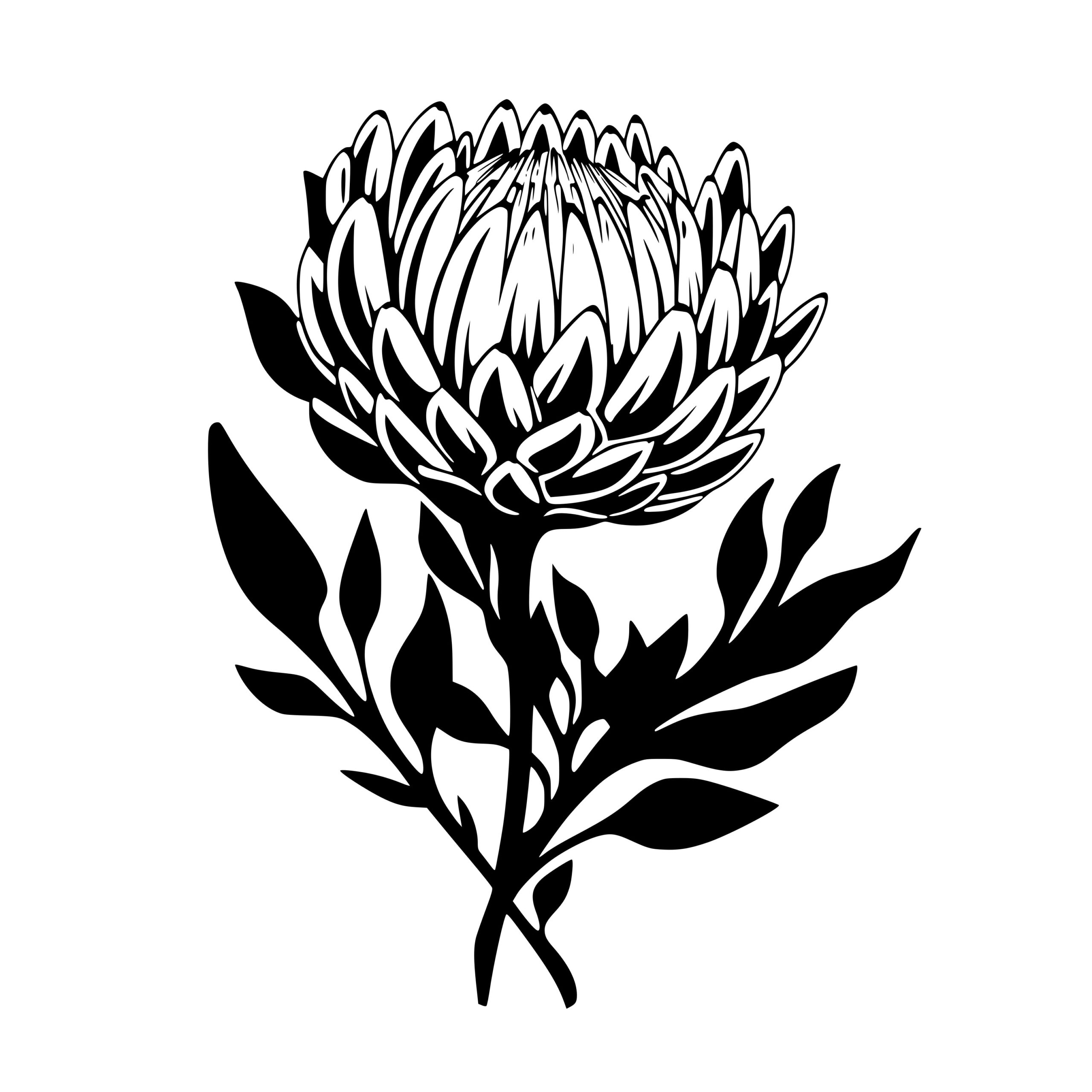 Protea Flower SVG File Instant Download for Cricut, Silhouette, and