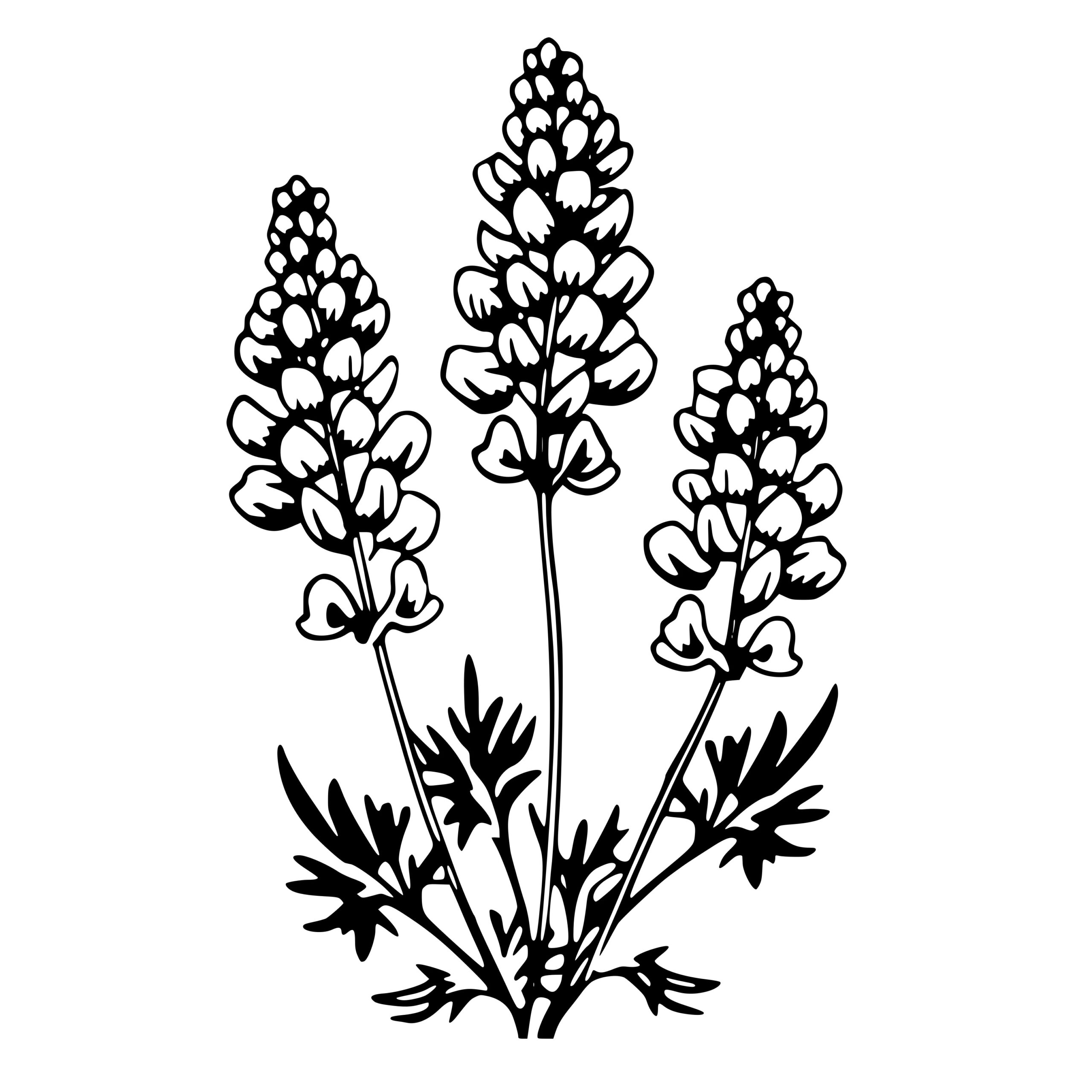 Texas Wildflowers SVG File for Cricut, Silhouette, Laser Machines