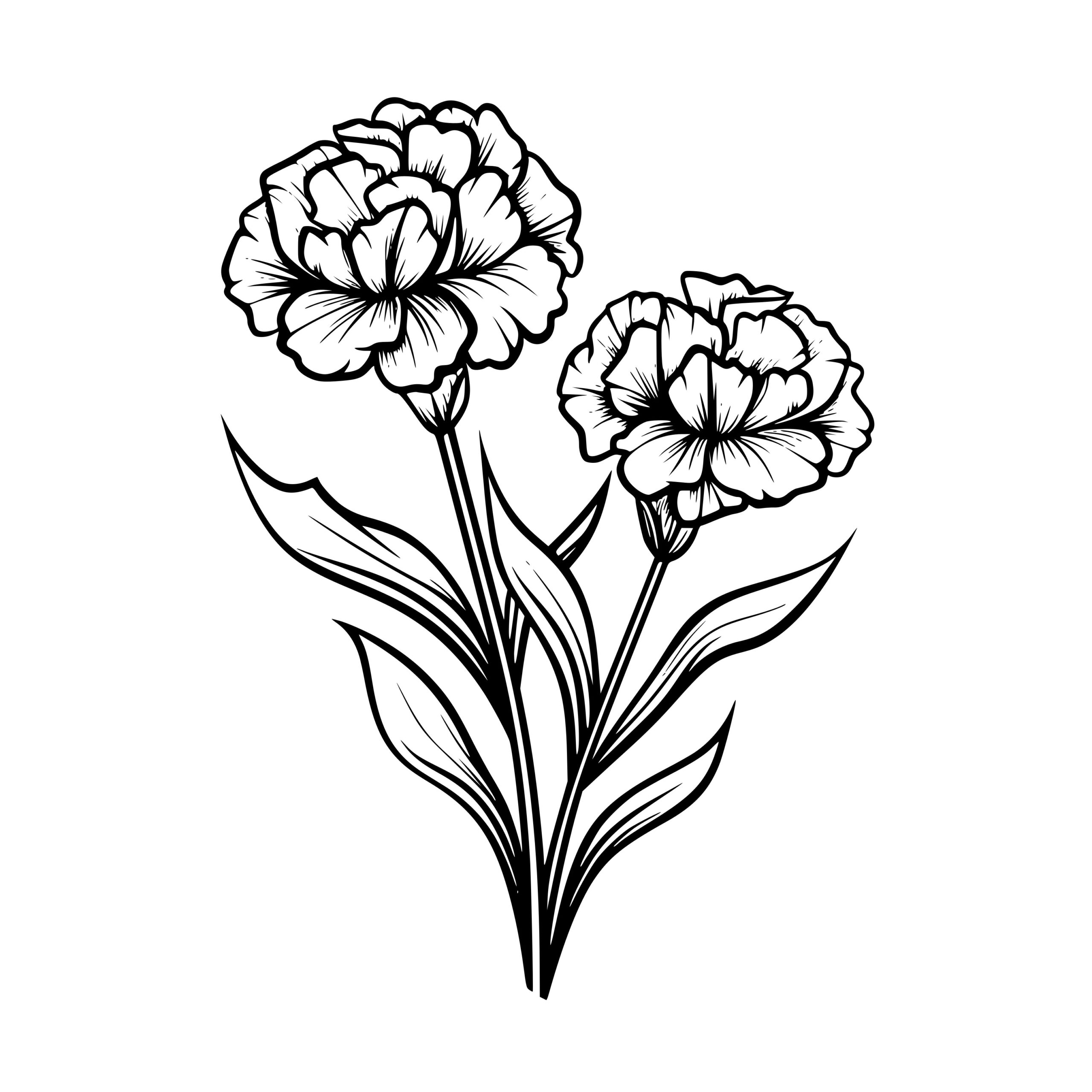 Carnation Cluster SVG Image Perfect for Cricut, Silhouette, and Laser