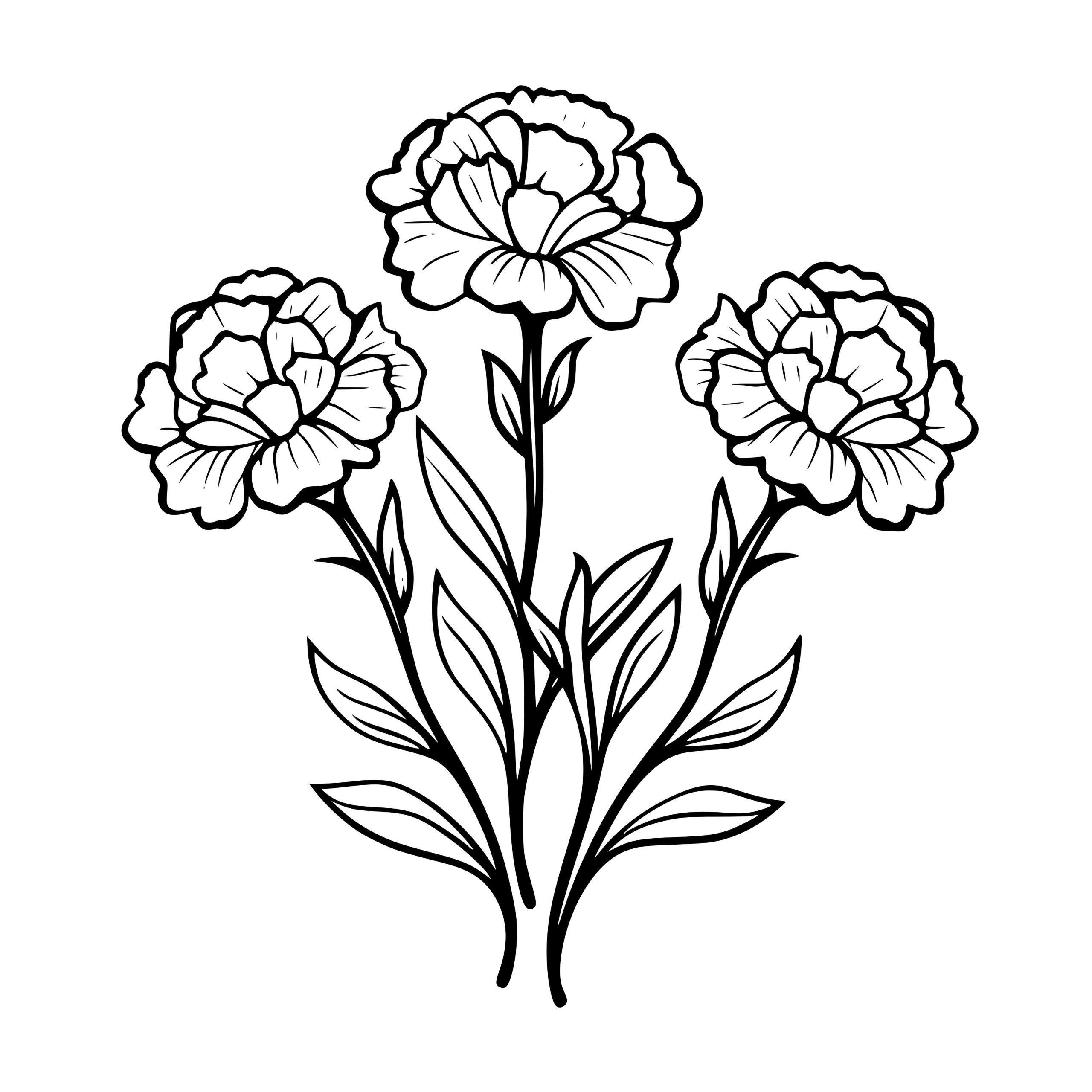 Floral Carnations Instant Download SVG, PNG, DXF Files for Cricut