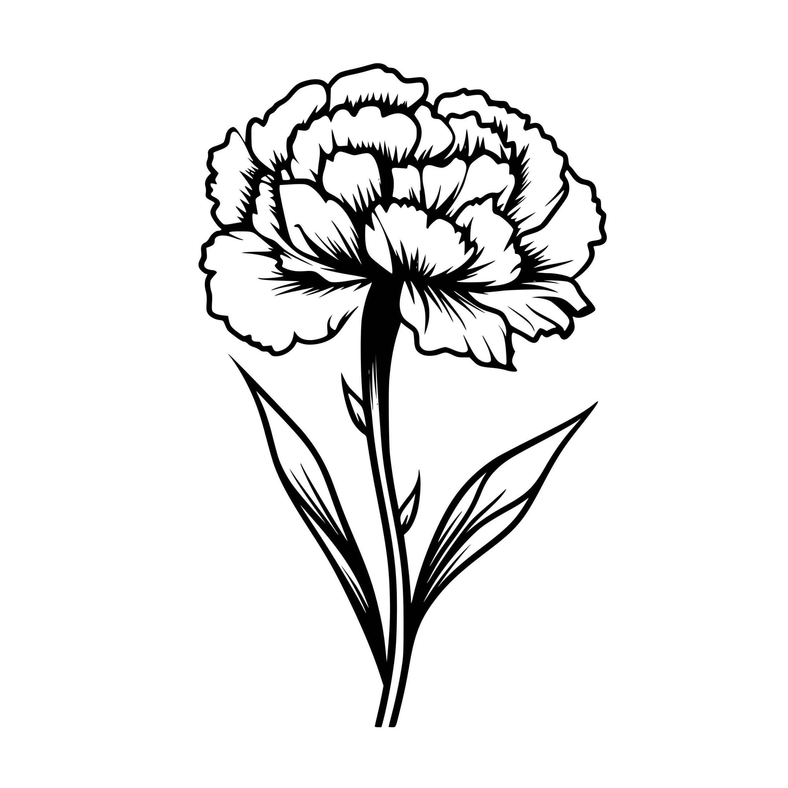 Instant Download SVG, PNG, DXF Files Single Carnation Design for