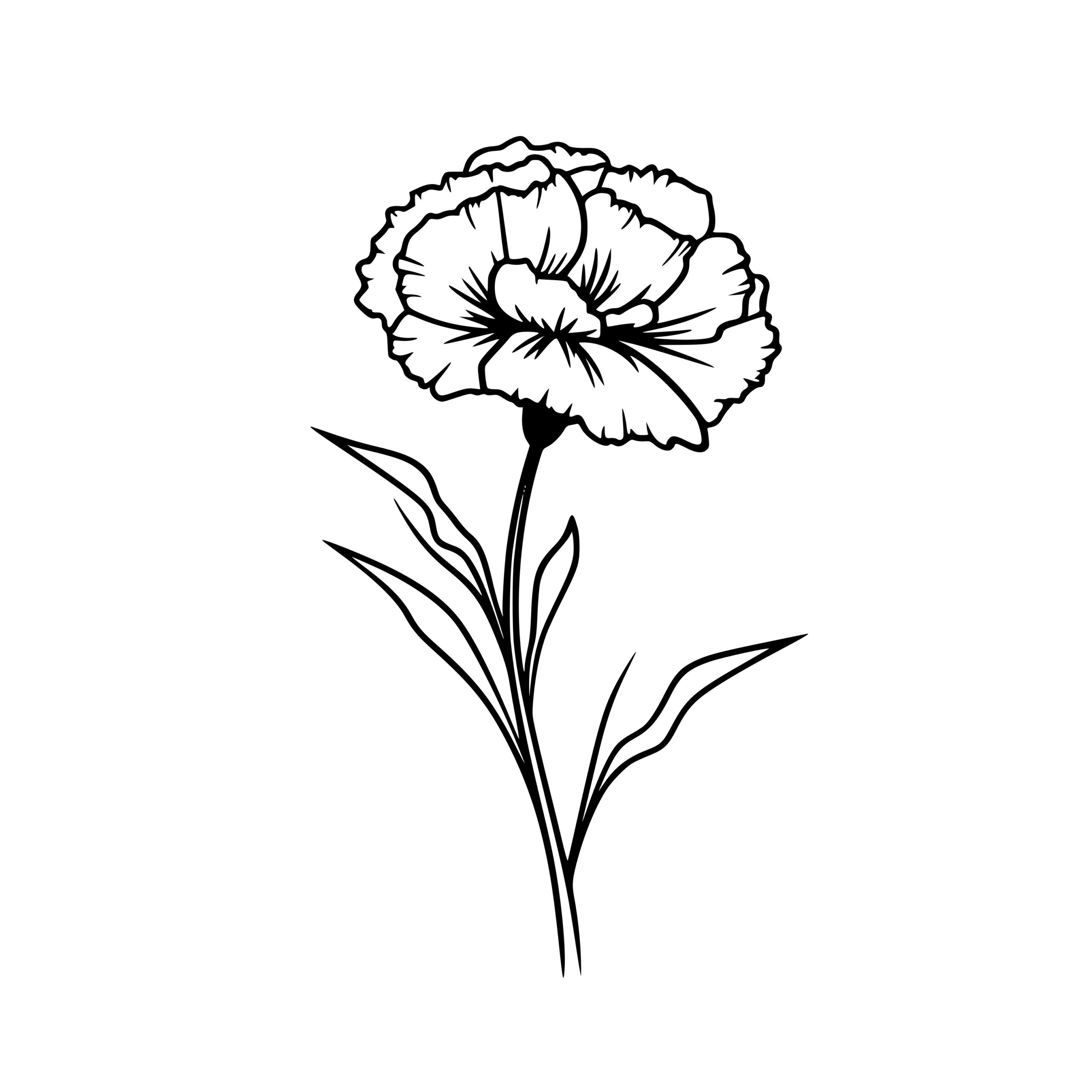 Carnation Bloom SVG Image Floral Design for Cricut, Silhouette, and