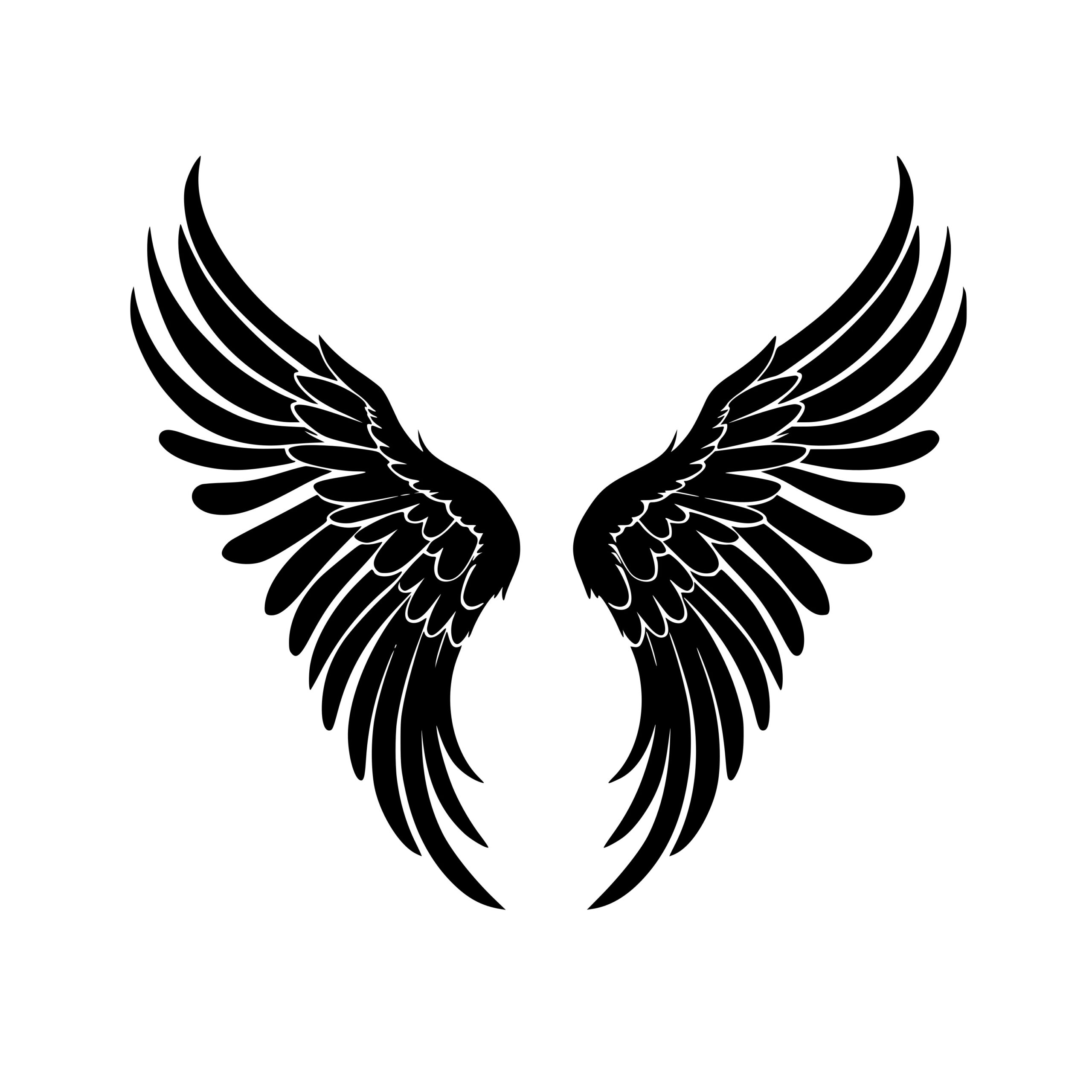 Angelic Wings SVG, PNG, DXF Instant Download for Cricut, Silhouette