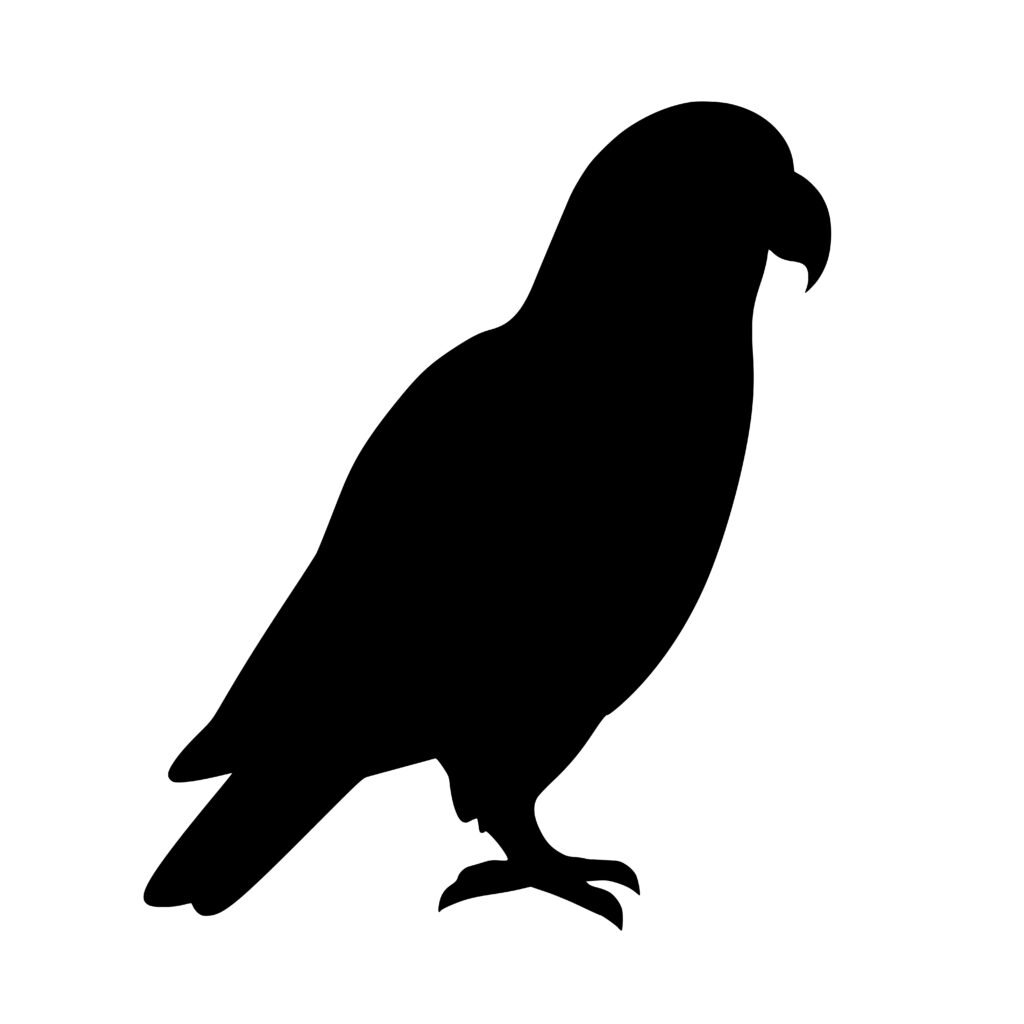 Perched Parrot SVG PNG DXF Files for Cricut & Silhouette