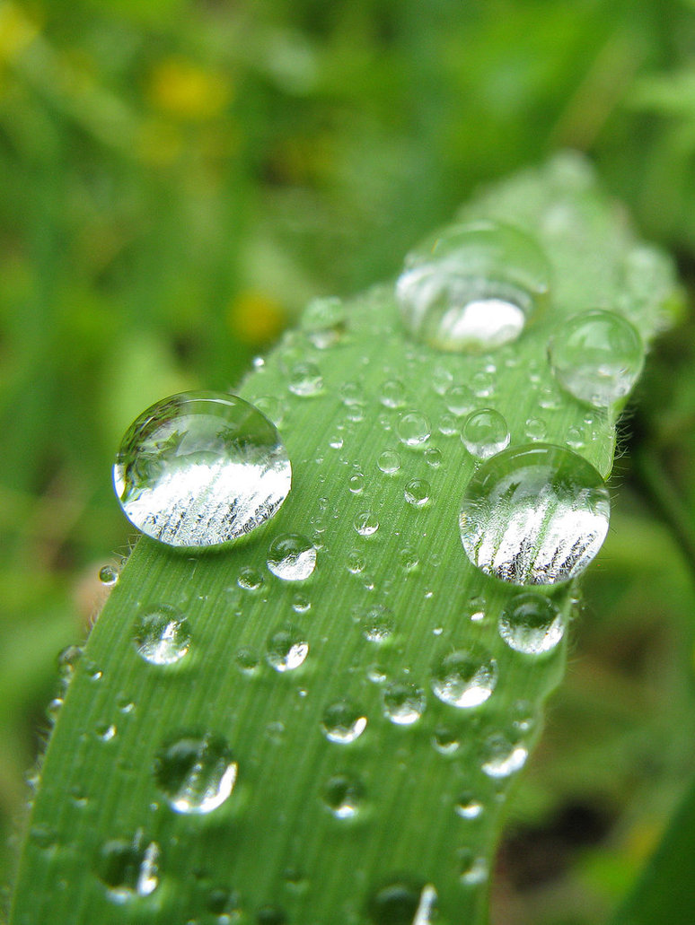 Macro Photography Water Drops7 Creativeoverflow