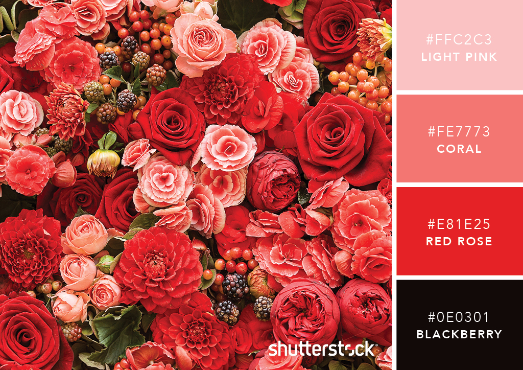 30 Color Combinations To Inspire Your Next Design Creativeoverflow