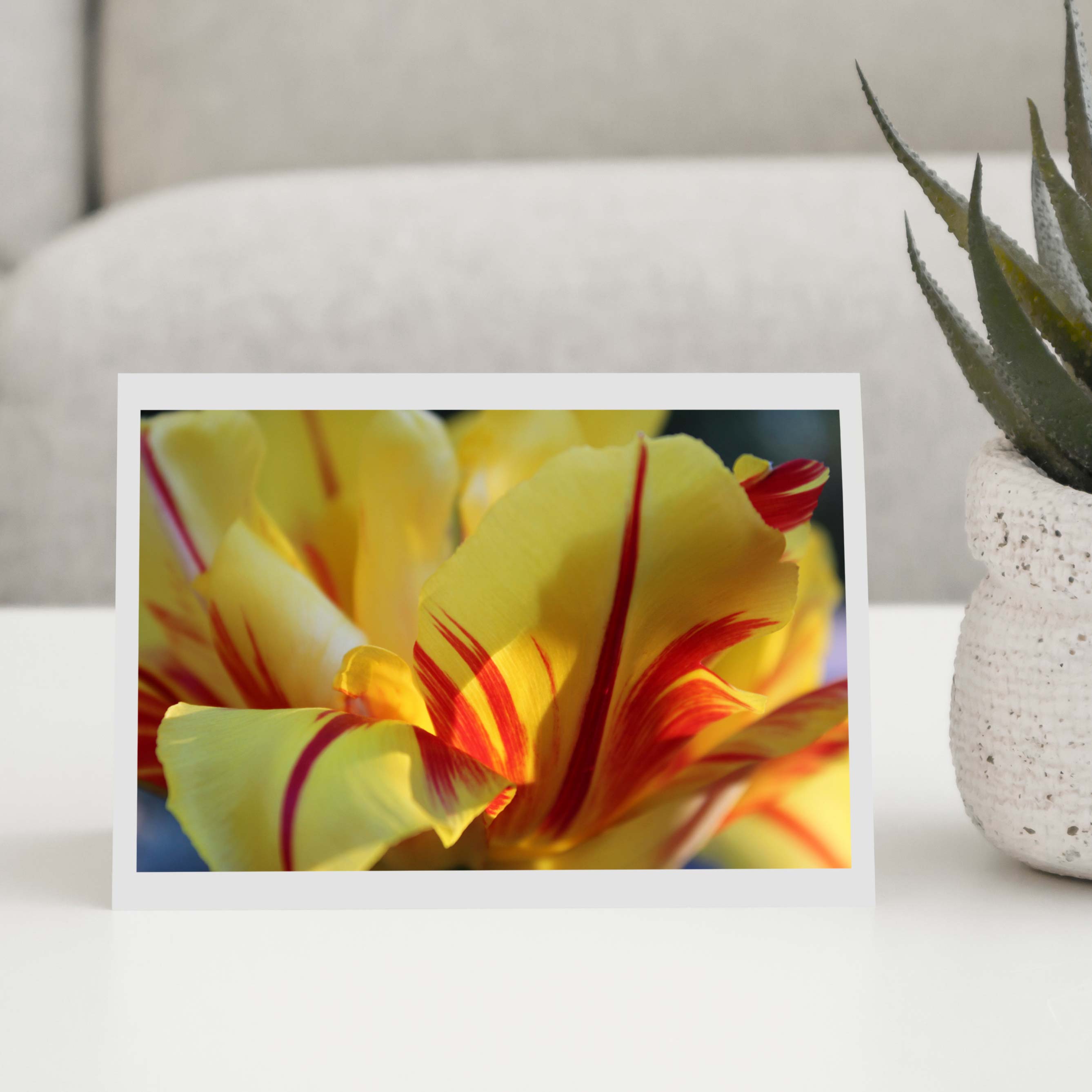 Floral Greeting Card Packages Flowers Creative Prints