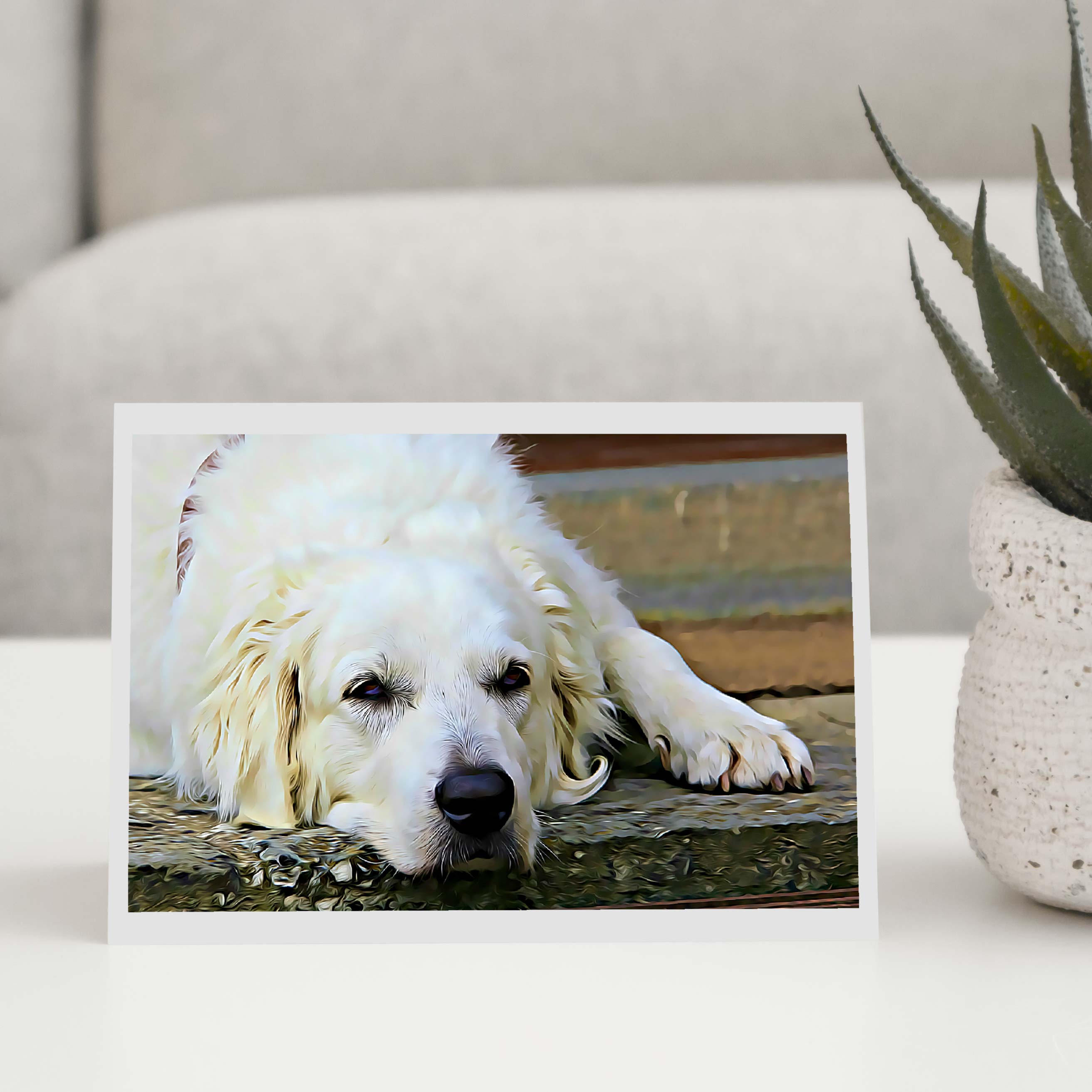 Golden Retriever Greeting Card Creative Prints