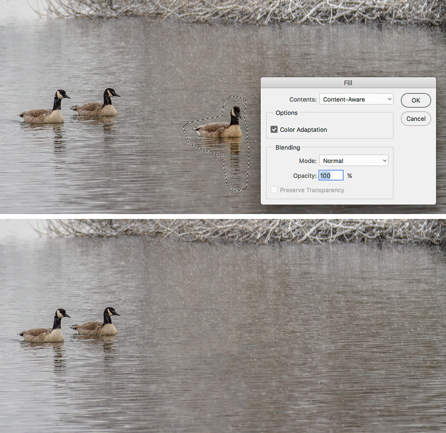 Which ContentAware Feature Should You Use? CreativePro Network