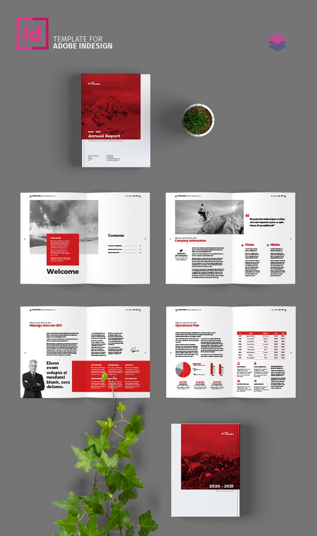InDesign Template of the Month Annual Report CreativePro Network