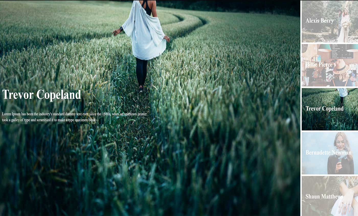 The 16 Best jQuery Sliders and Tutorials For jQuery & WordPress