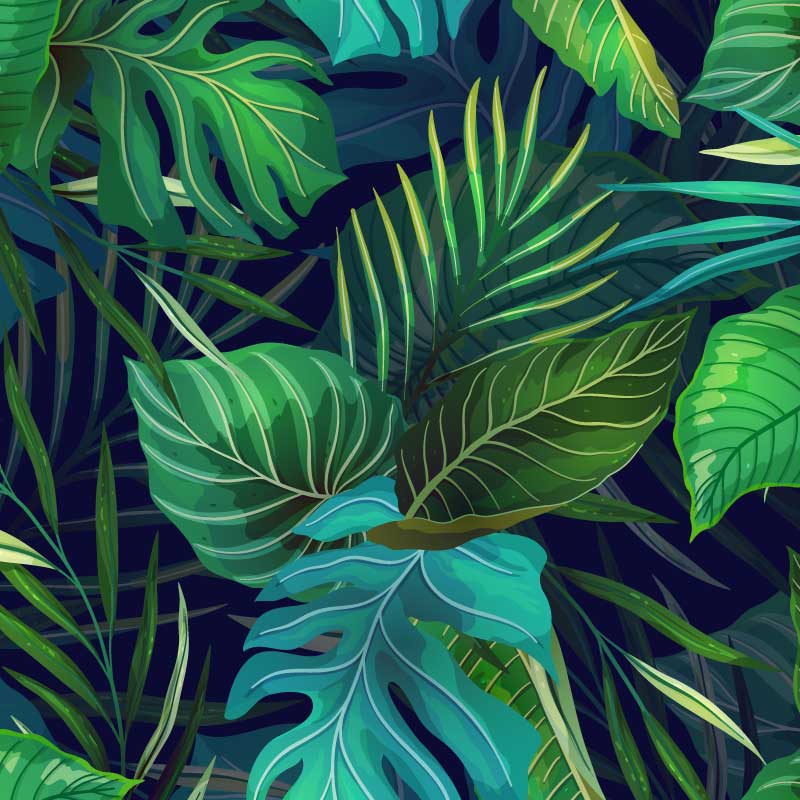 Exotic Leaves Green Wallpaper Wall Decals Wall Graphics Toronto