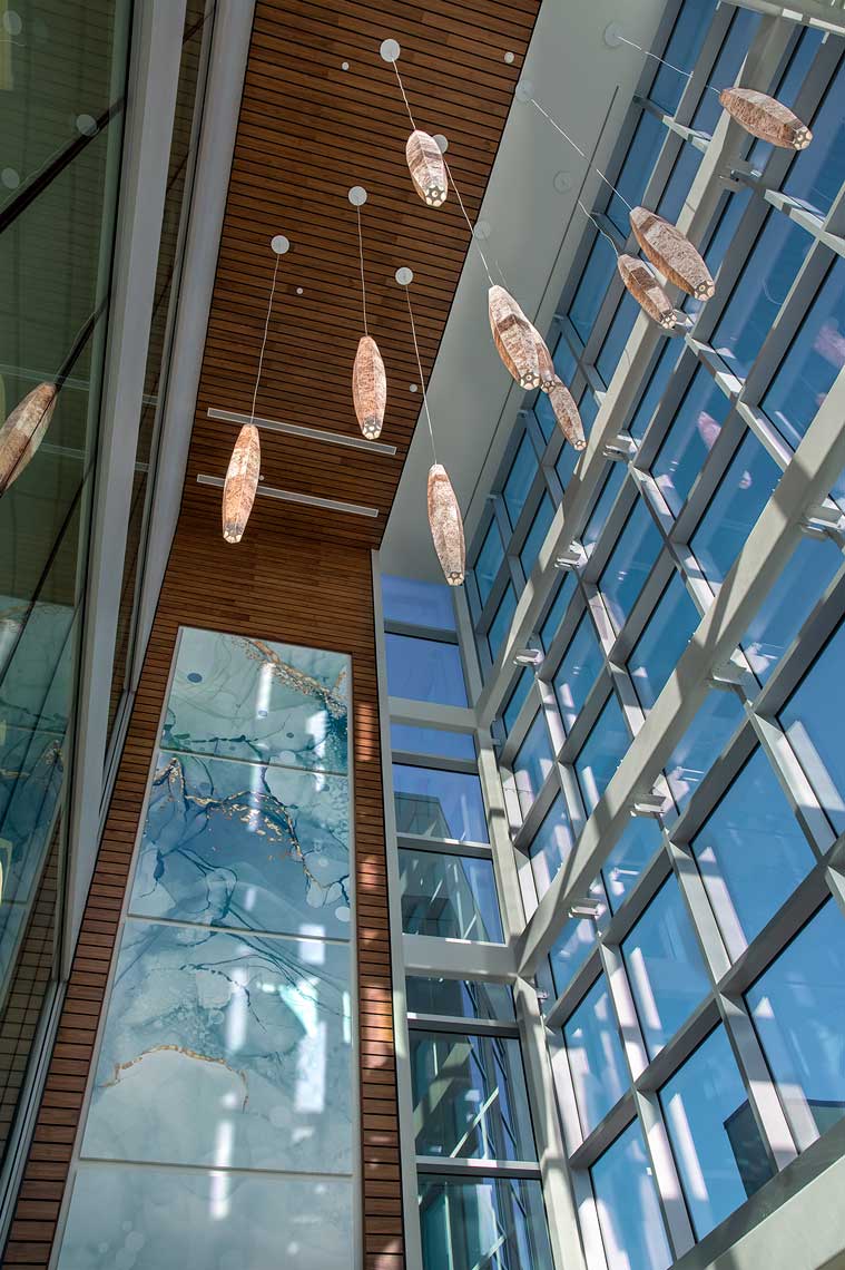 Healthcare Design Showcase Brandon and Point Hospitals