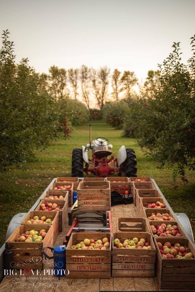 3 Fun Fall Events in Murray County Creative Three Realty SW