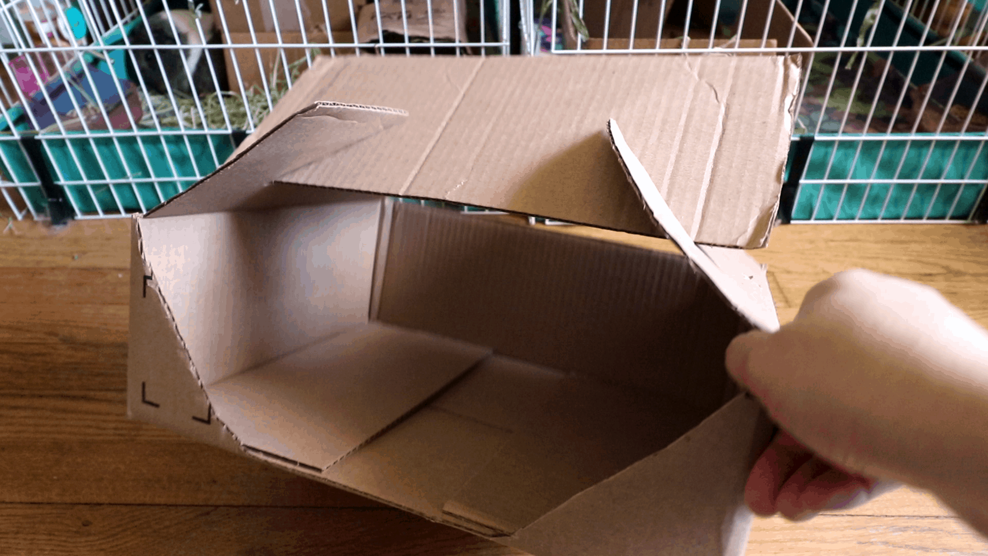 Cardboard house making for guinea pigs or other pets