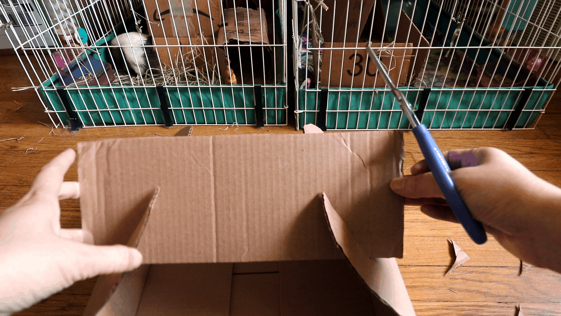 Cardboard house making for guinea pigs or other pets