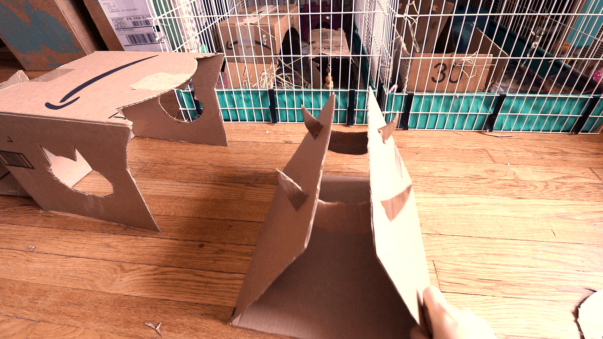 Cardboard house making for guinea pigs or other pets