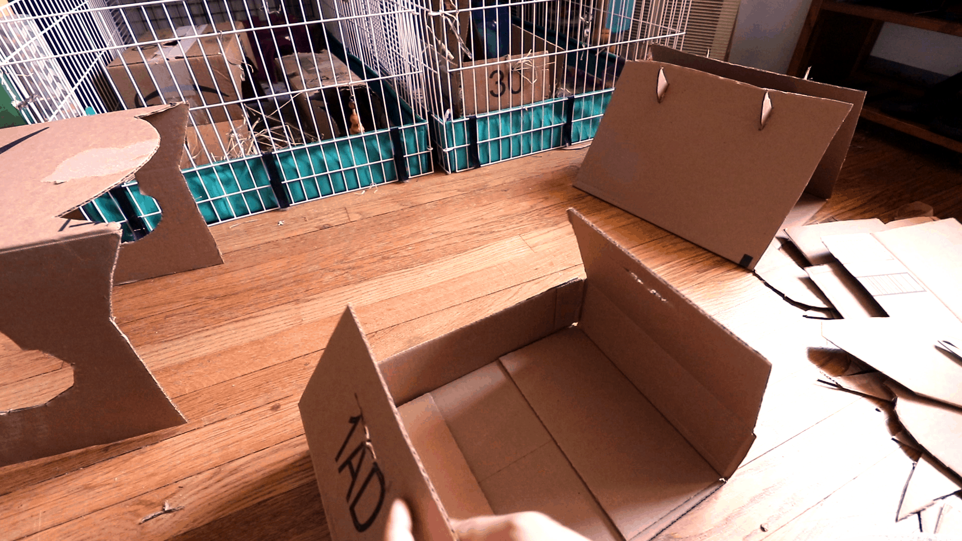 Cardboard house making for guinea pigs or other pets