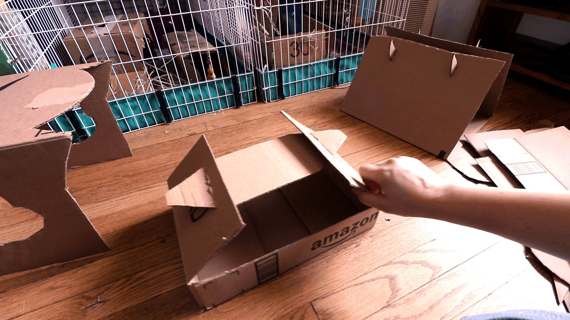 Cardboard house making for guinea pigs or other pets