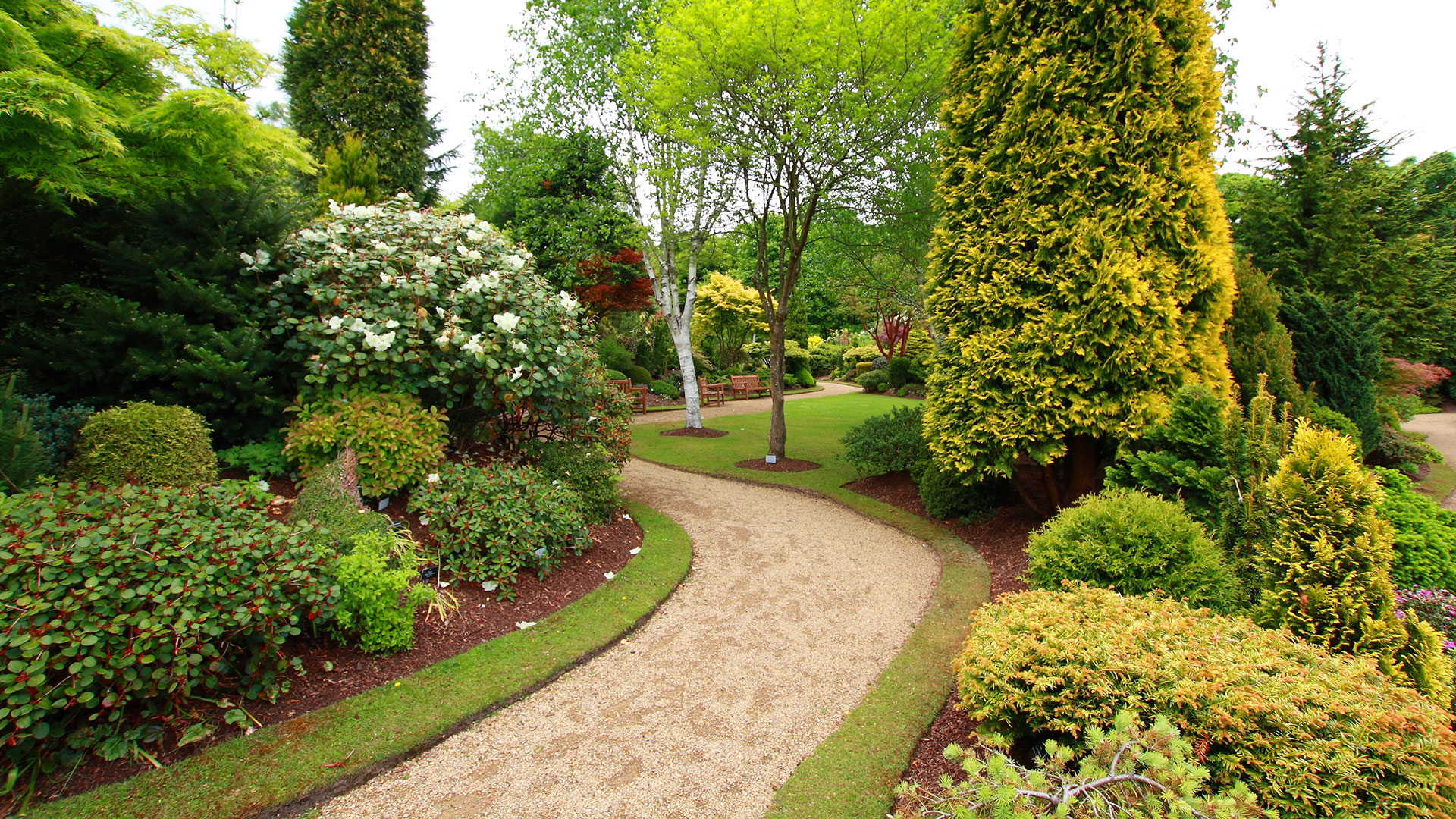 Creative Vision Tree & Landscape Services Landscaping Contractor