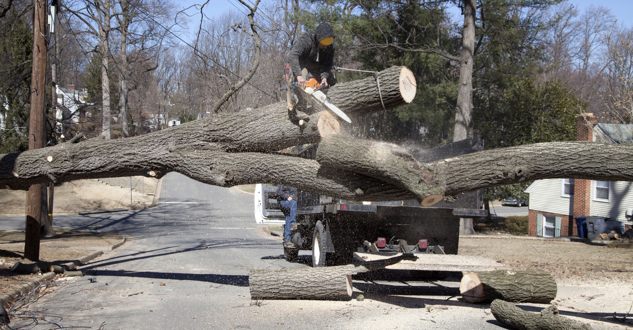 Landscaping Contractor Alachua, Lake City, Live Oak